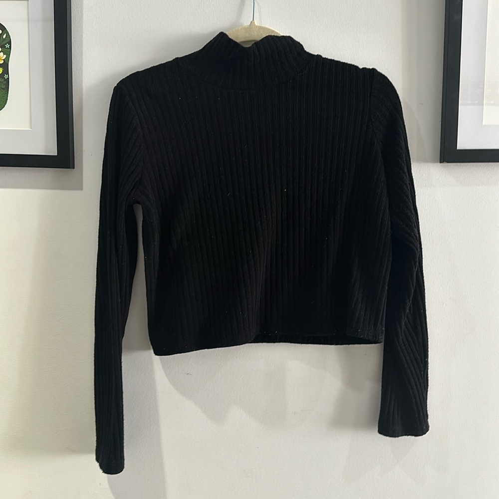 Cropped Ribbed Turtleneck - Wilfred Free